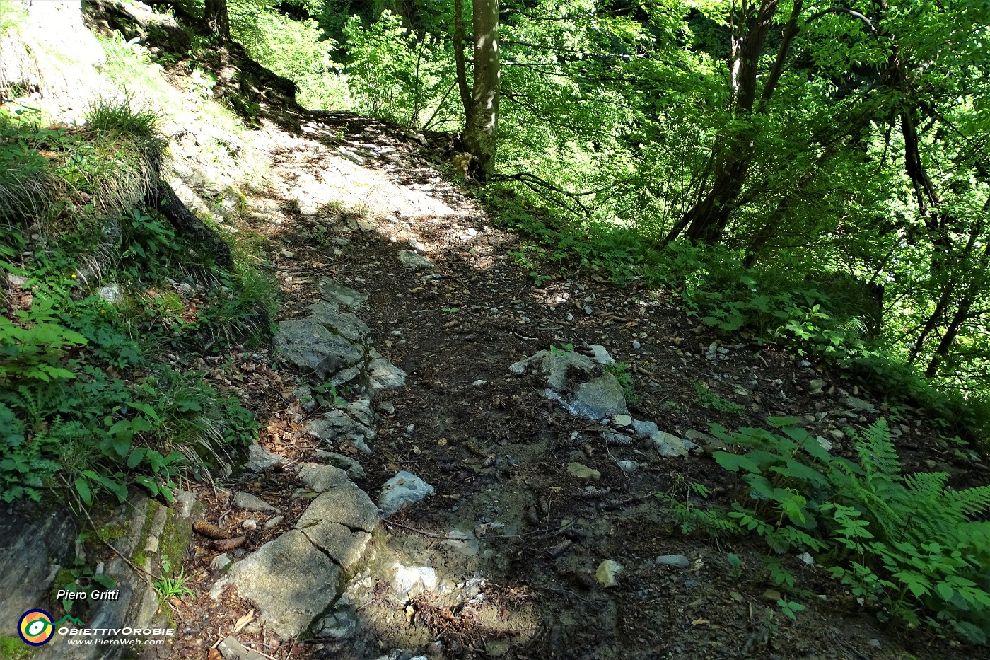 08 Risalito per buon tratto nel bosco prendo il sent. a destra.JPG